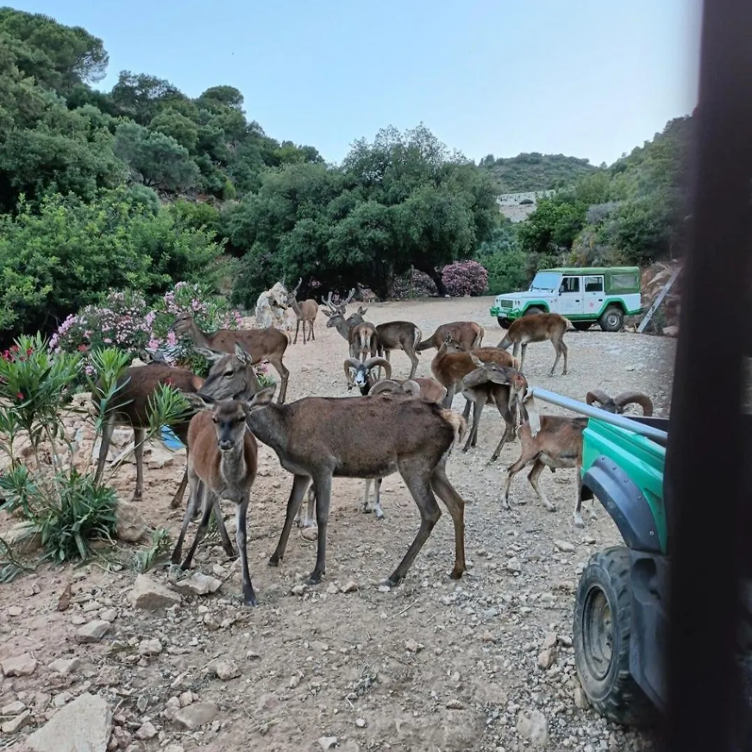 Villa Maria, Mas Que Pernoctar Ojen Holiday home